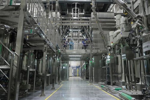 一場動(dòng)力電池安全性的革命 弗迪重慶工廠與刀片電池的誕生